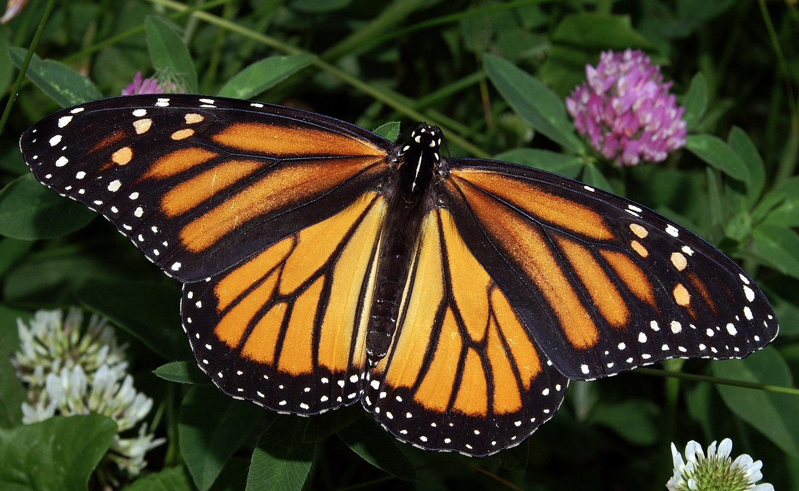 Screen Shot 2023 01 14 At 10.23.10 Am